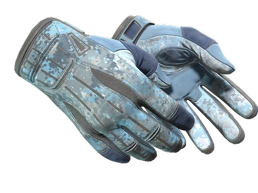 ★ Sport Gloves | Frosty (FT)