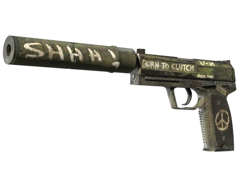 USP-S | Flashback (FT)