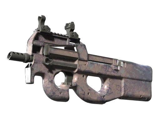 P90 | Wash me (FT)