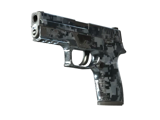P250 | Steel Disruption (FT)