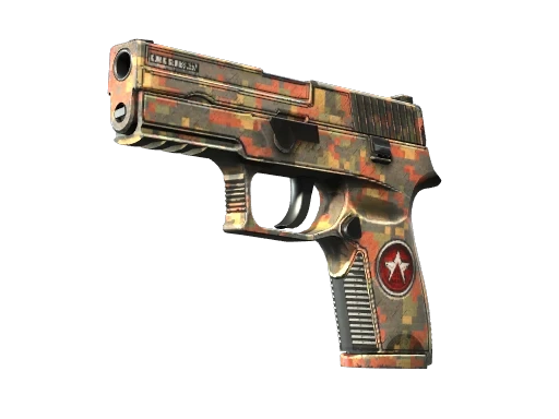 P250 | Red Rock (FT)