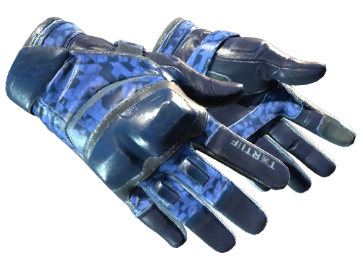 ★ Moto Gloves | Polygon (FT)