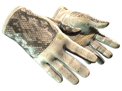 ★ Driver Gloves | King Snake (FT)