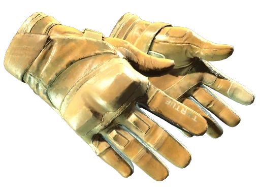 ★ Moto Gloves | Transport (FT)