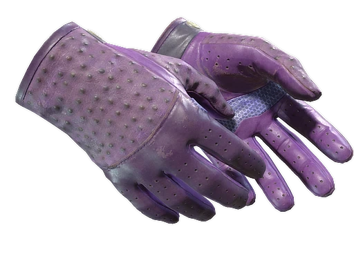 ★ Driver Gloves | Plum Quill (FT)