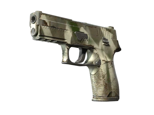 P250 | Bone Mask (WW)